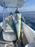 Offshore Fishing